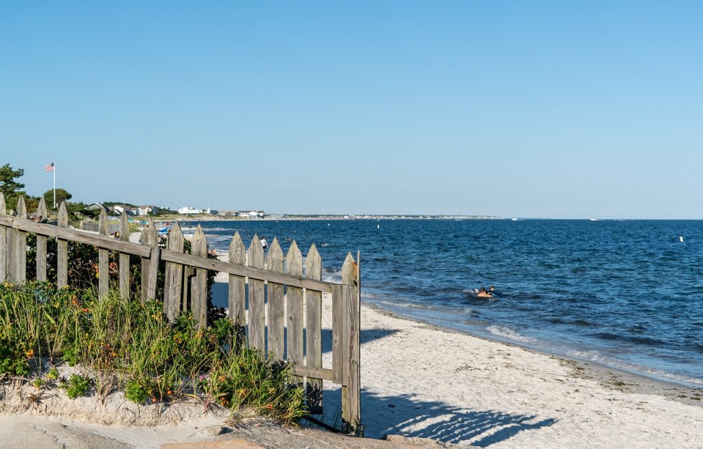 "Great White Sharks on the Rise: Cape Cod Emerges as North Atlantic's Hotspot 12 cape cod