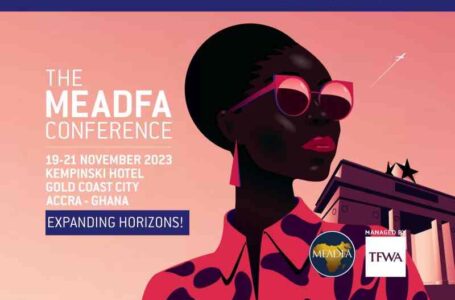 MEADFA Conference