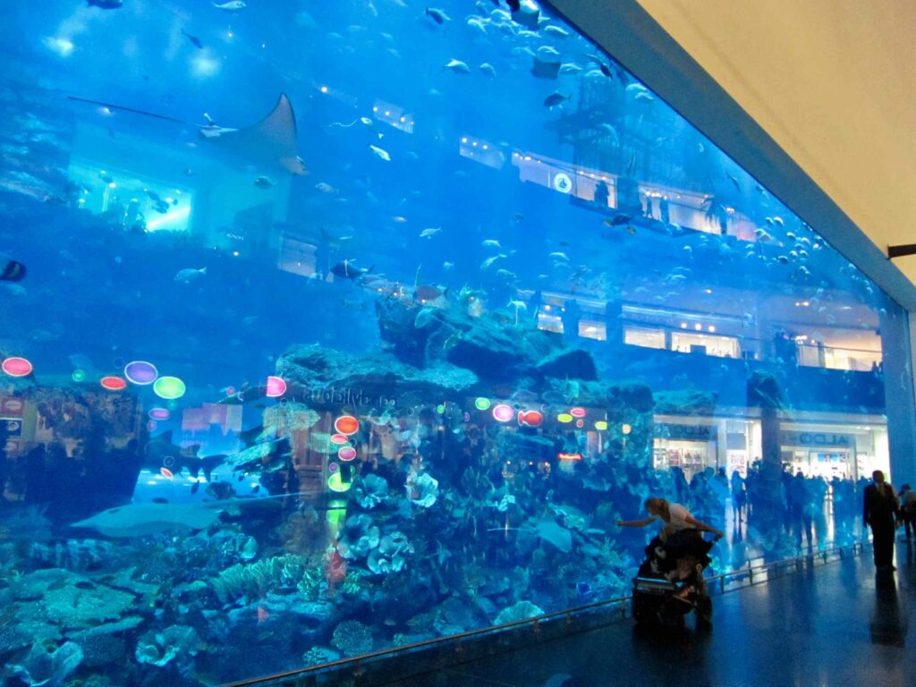 Dubai Aquarium