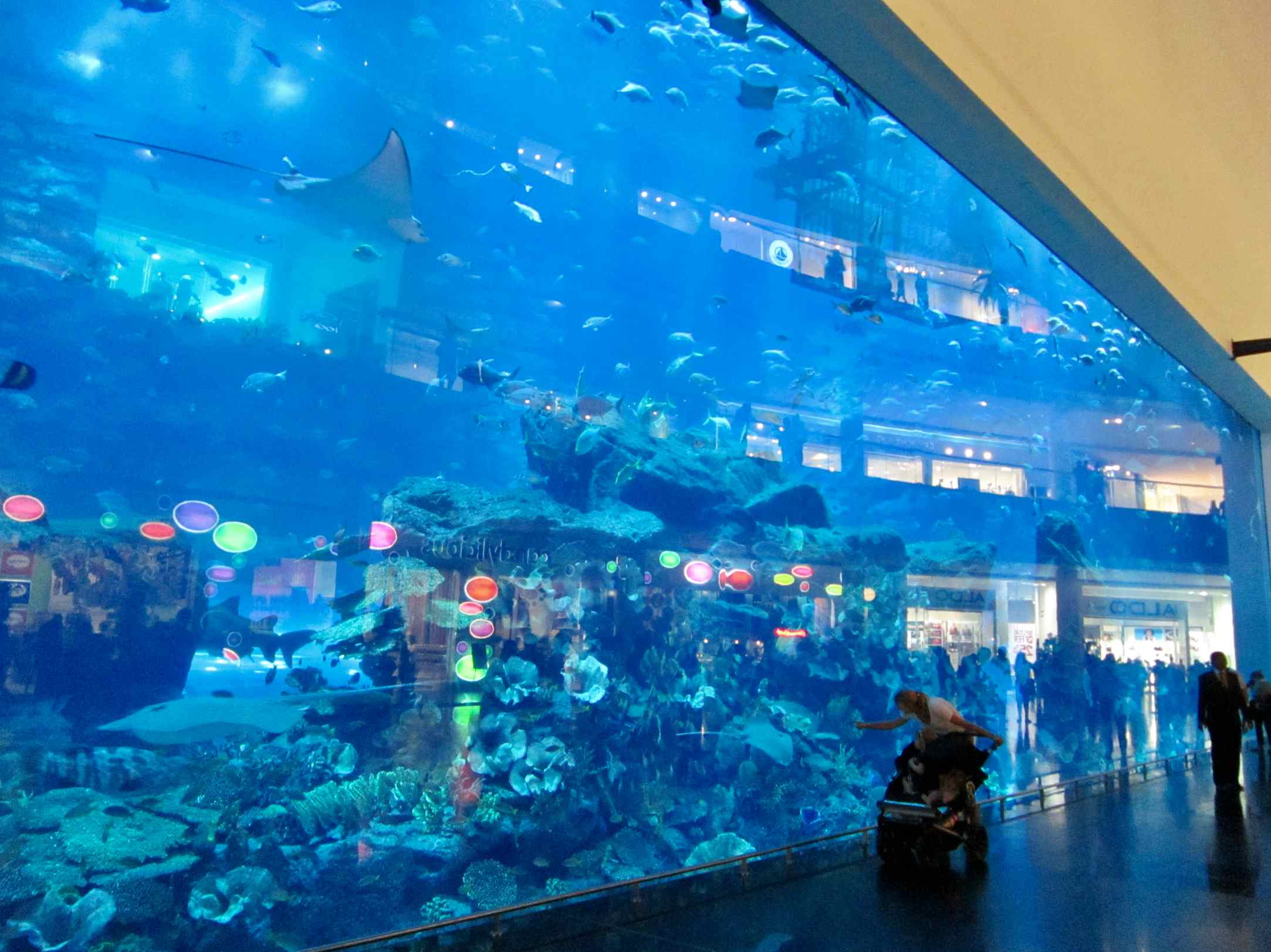 Dubai Aquarium