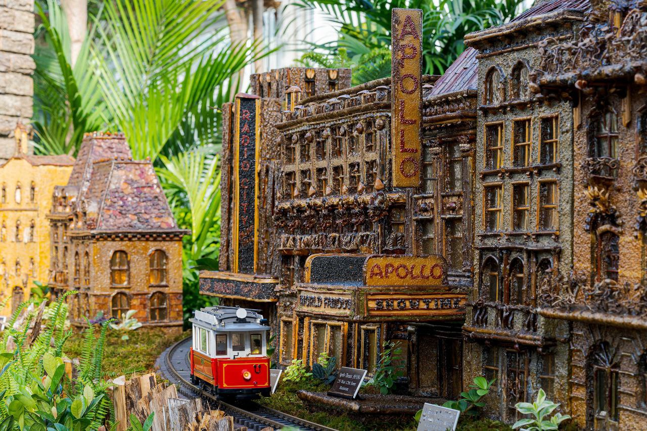 Holiday Train Show