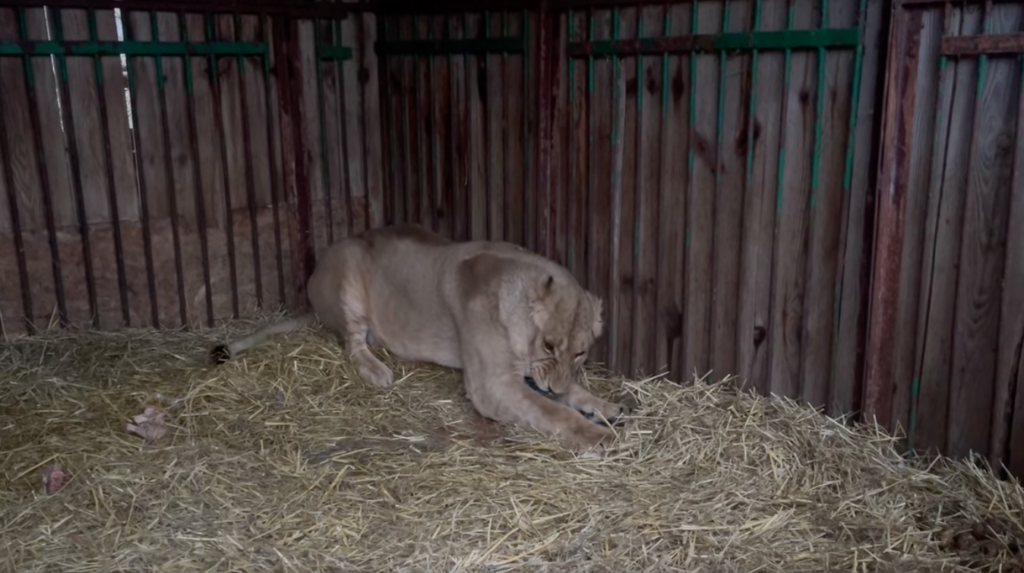 Wildlife Rescue Center