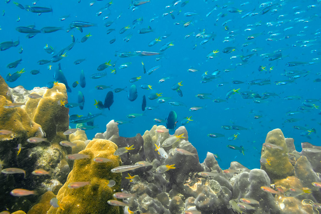 snorkeling in phuket