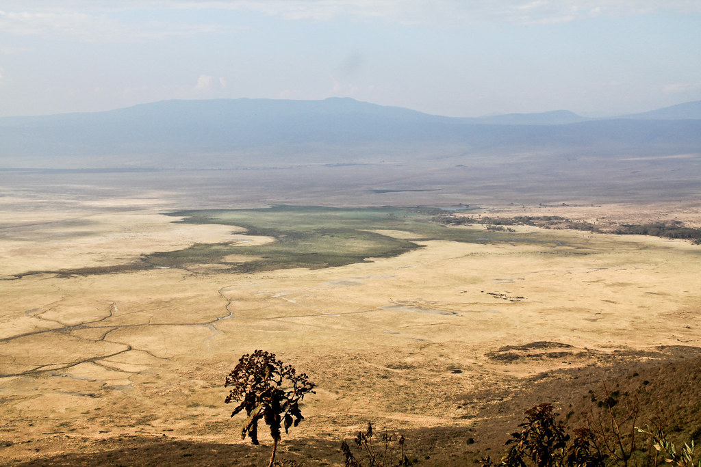 Ngorongoro Crater