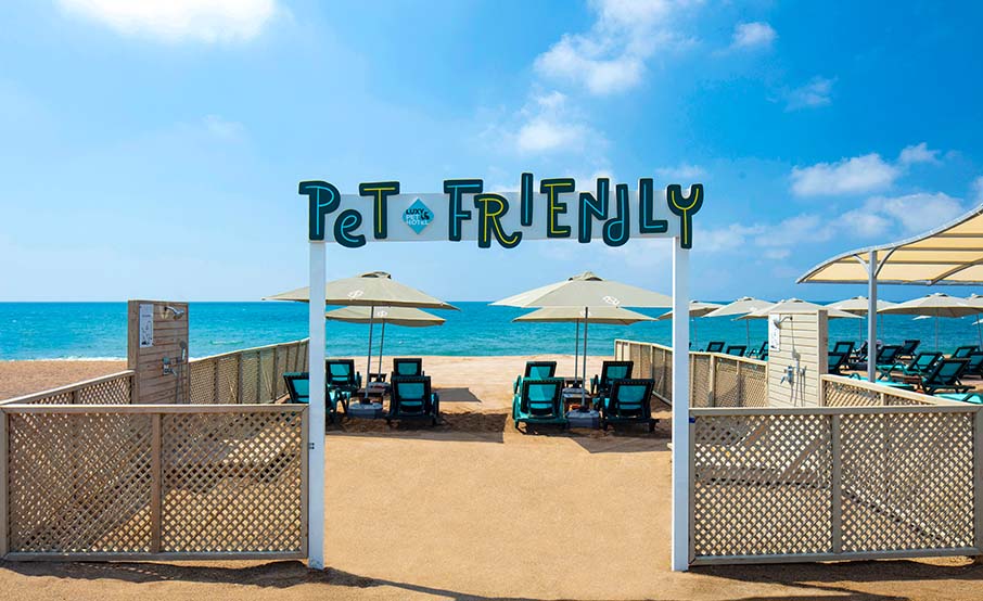 25 Pet-Friendly Hotels in Antalya, Turkey 4 pet-friendly beach