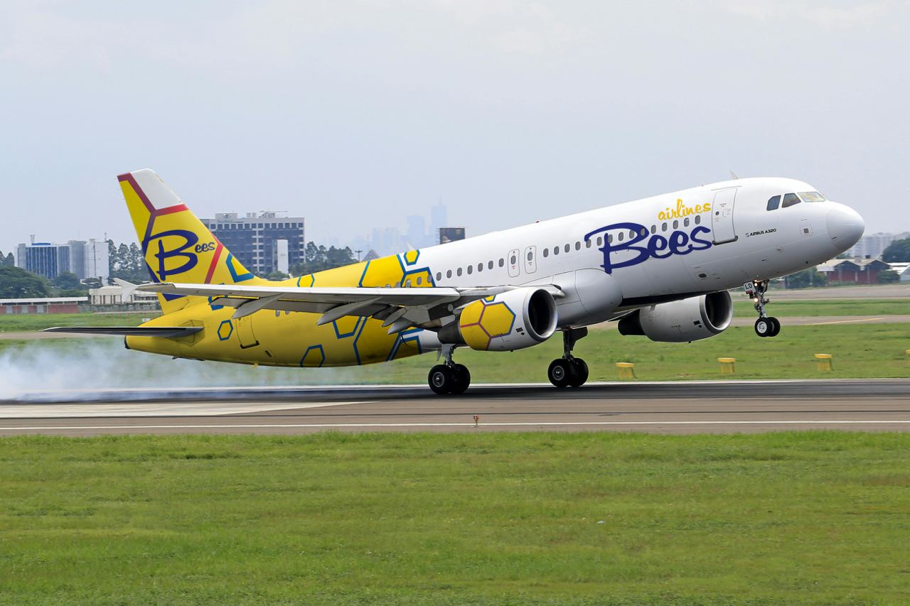 BEES Airlines