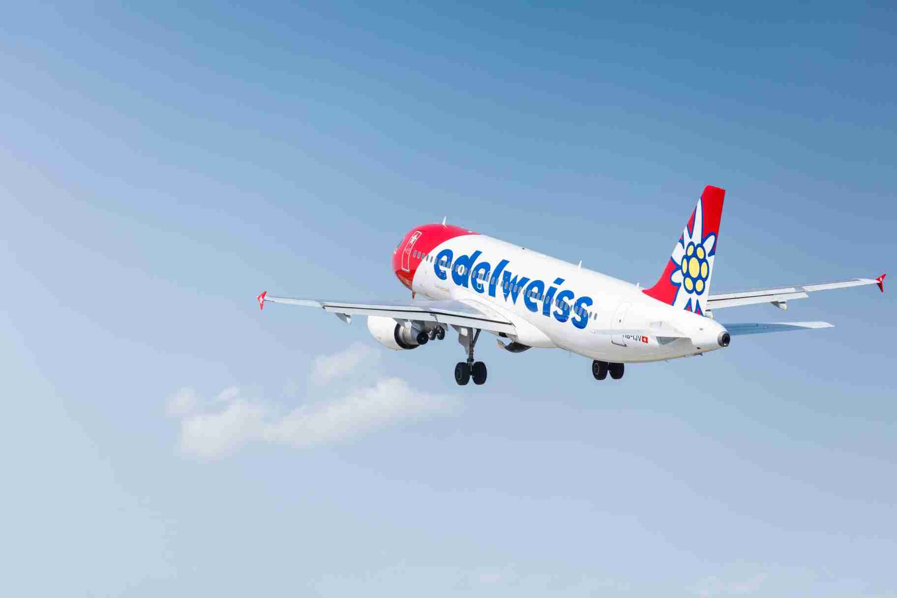 Edelweiss