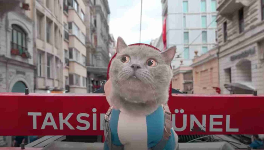Turkish Airlines Showcases Pet-Friendly Policies in Fun Video Featuring a Traveling Cat 4 pet-friendly