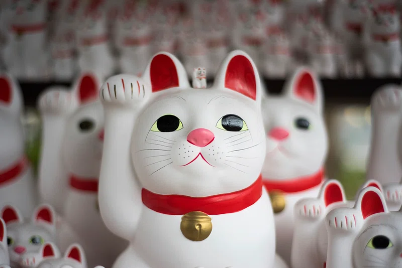 cat museums