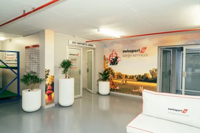 pet lounge