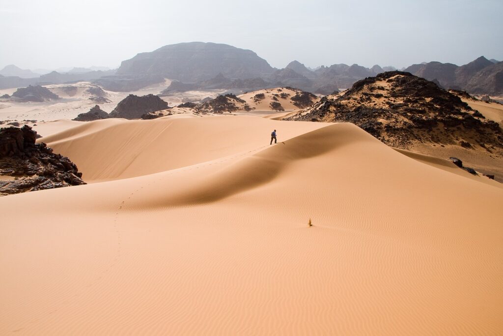 Unprecedented Rains Flood Sahara Desert 1 sahara desert