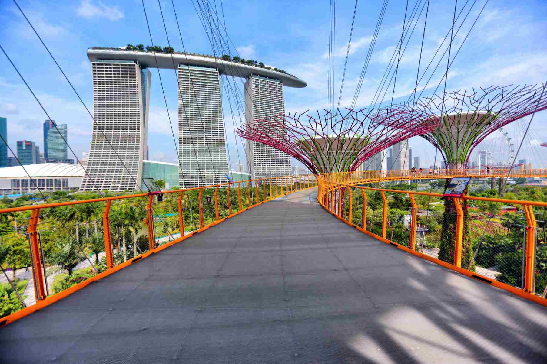 Gardens by the Bay and Marina Bay Sands Singapore