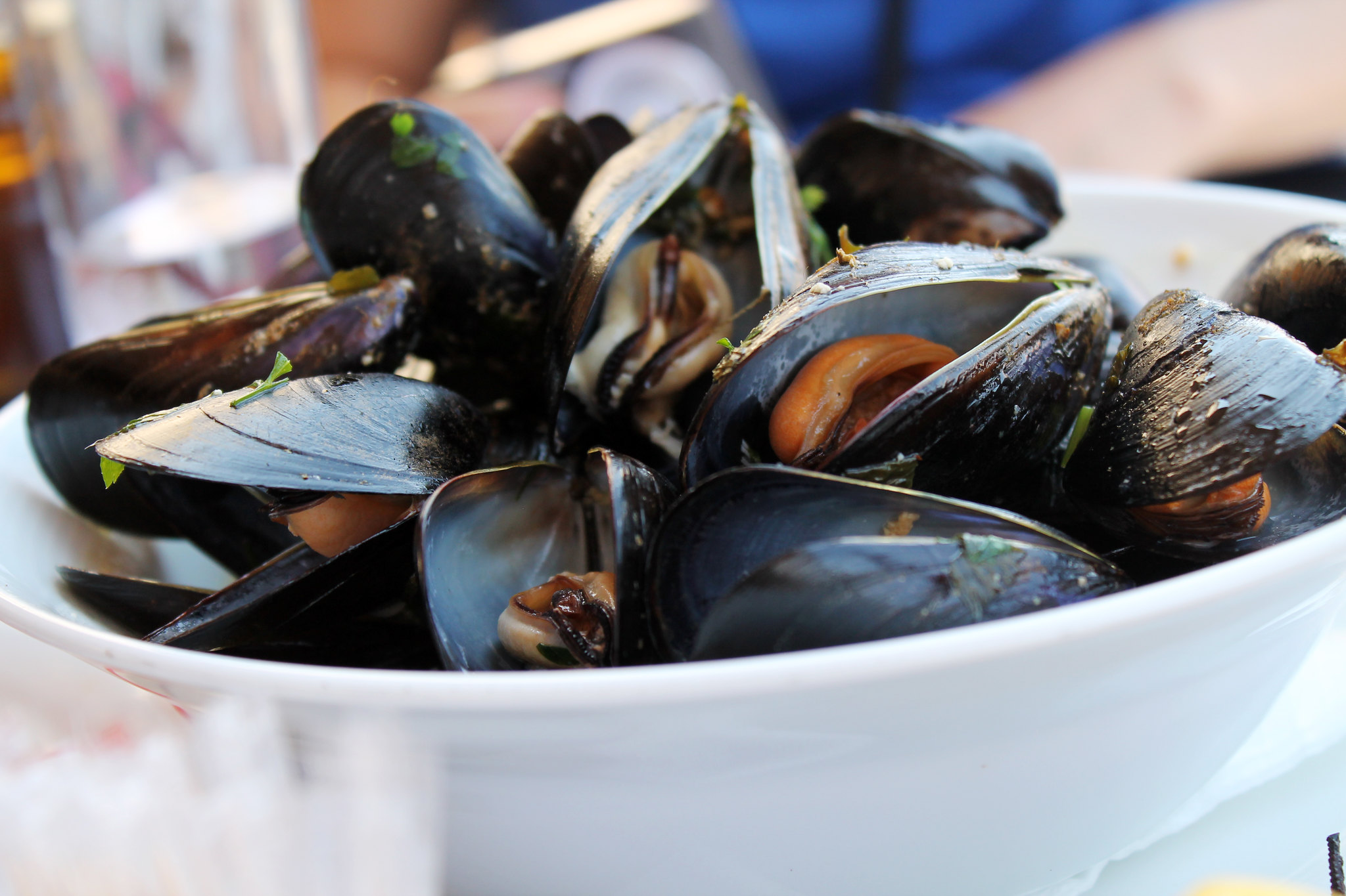 greek mussel