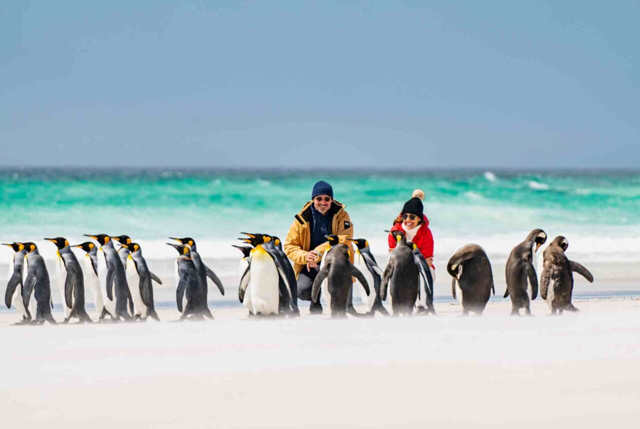Majestic Princess to Sail the Untouched Wonders of Antarctica Peninsula and South America for 2026-27 season 2 Antarctica