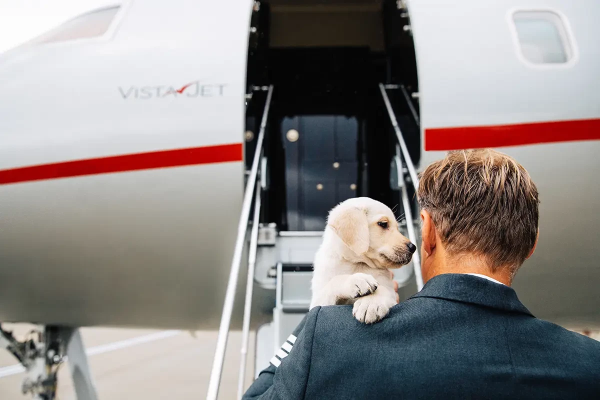 pet-friendly