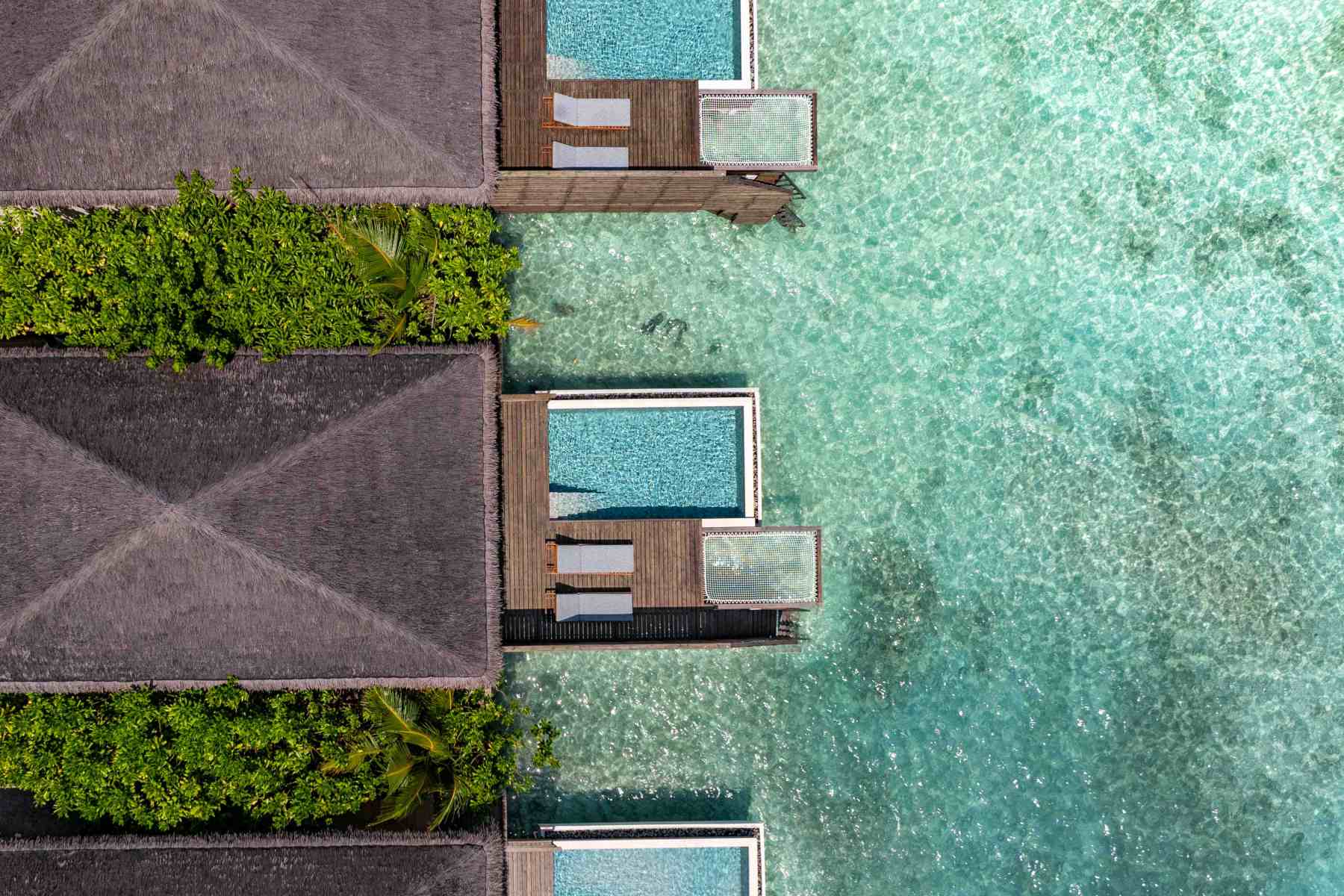 dusitd2-feydhoo