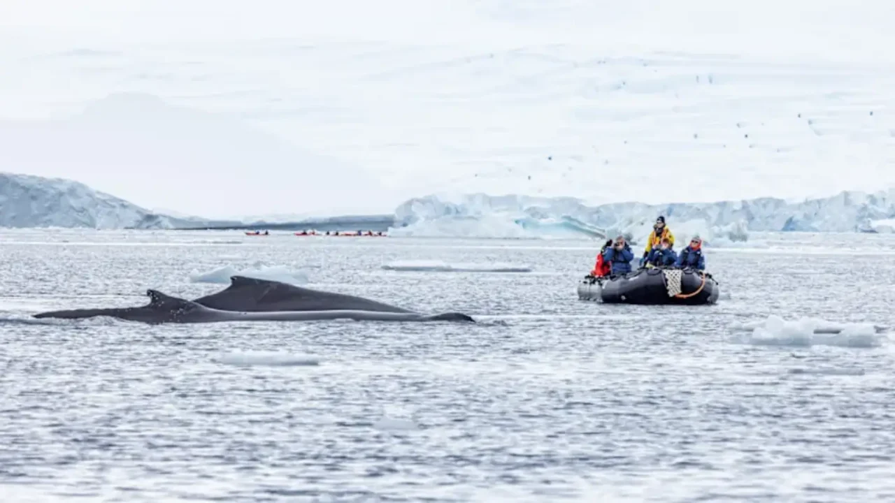 HX Expeditions