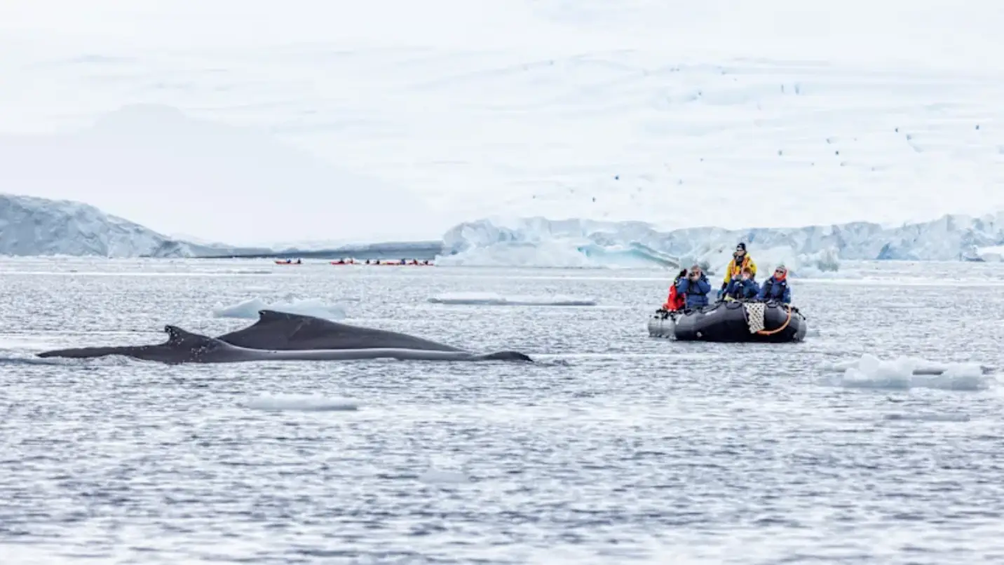 HX Expeditions Unveils Ambitious 2027/28 Voyages Across Antarctica, the Arctic, and Beyond