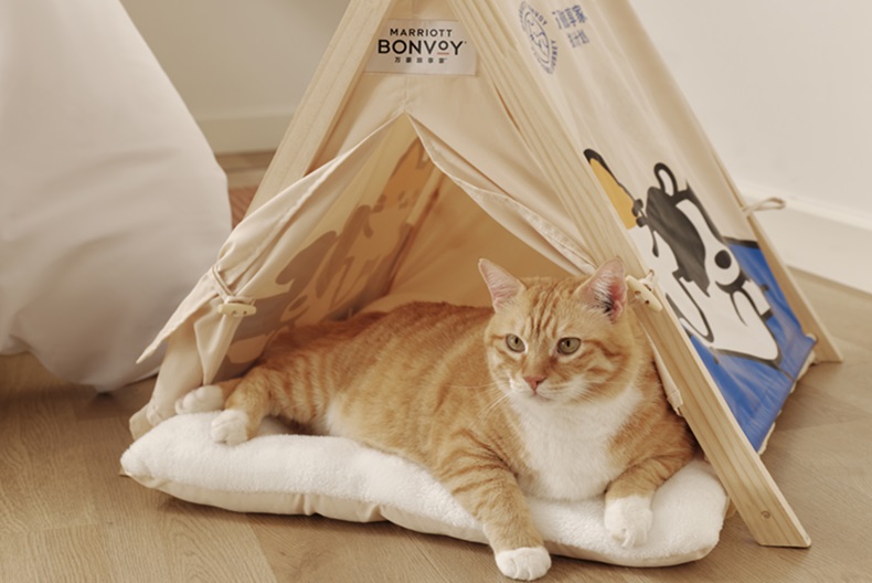 Marriott Bonvoy Launches Pet-Friendly “Pawssible Journey” Program Across Greater China 5 Pawssible Journey