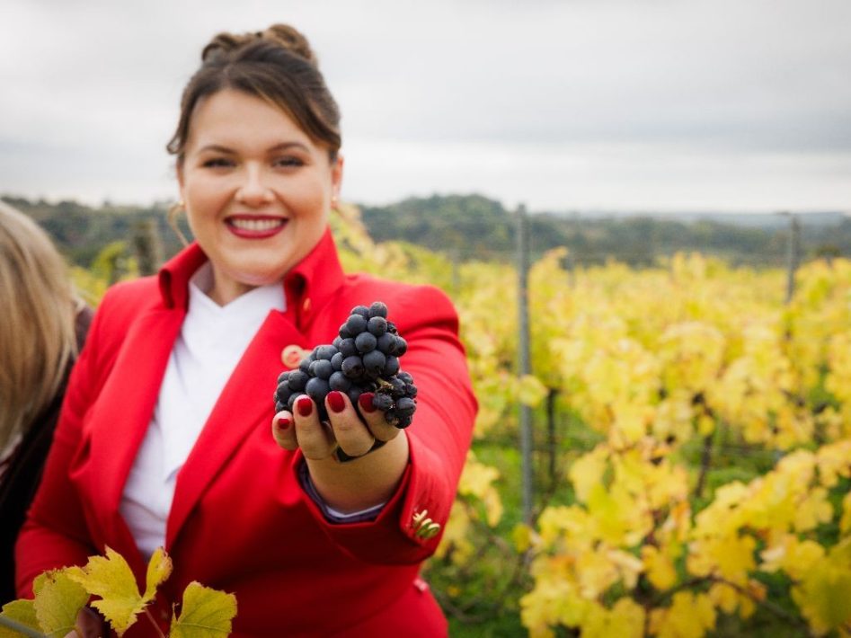 Virgin Atlantic To Launch Its Own English Sparkling Wine With Hambledon Wine Estate 5 english sparkling wine