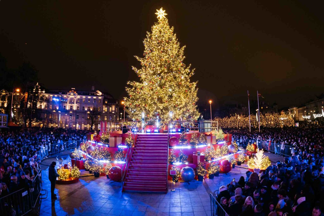 Vilnius Unveils World’s “Most Beautiful” Christmas Tree