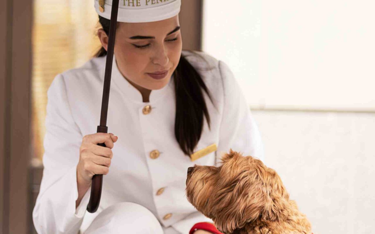 The Peninsula London Launches an In-House Dog Grooming Residency with Love My Human 9 Peninsula London