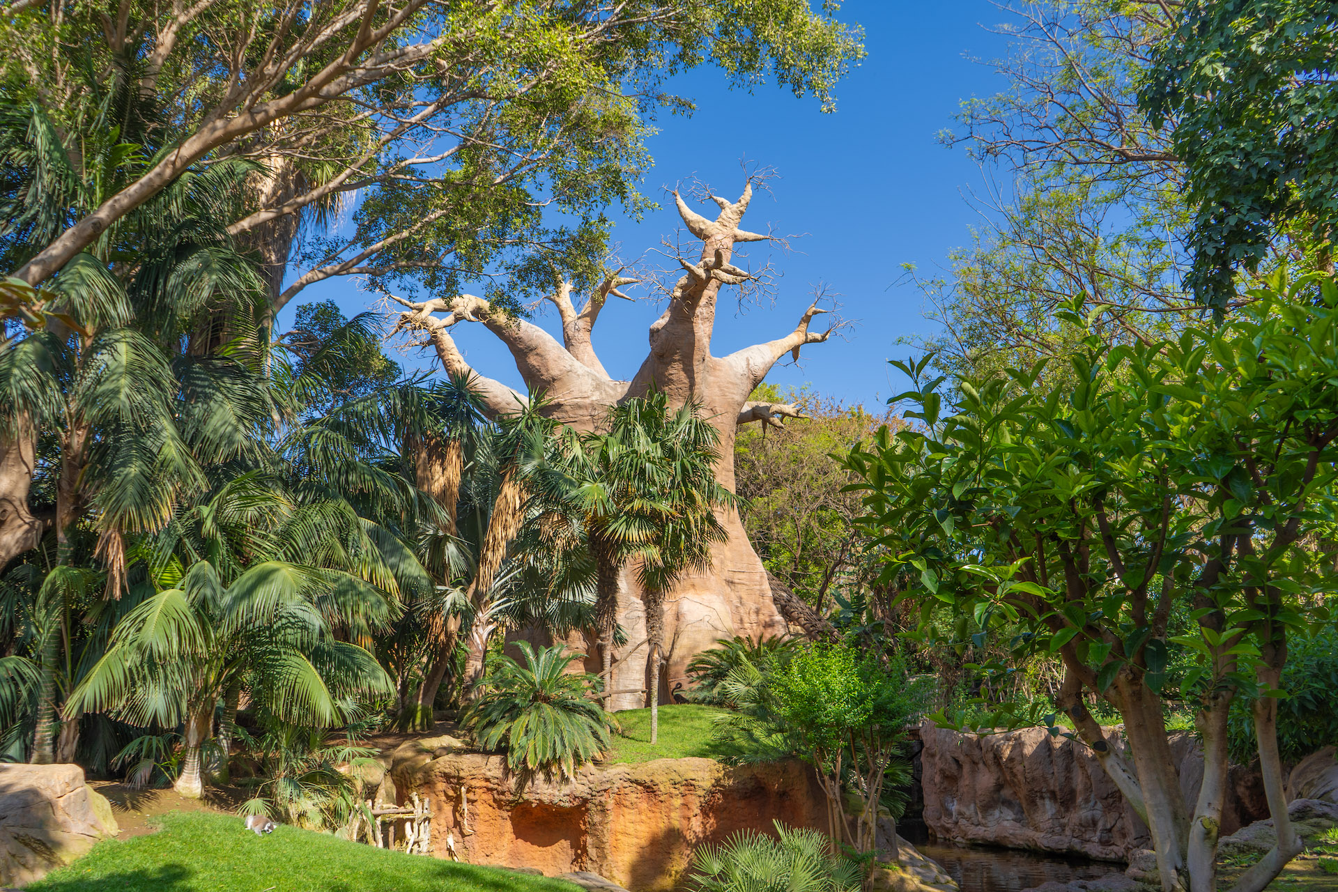 Bioparc Fuengirola Draws Families Seeking Nature Escape 2 Bioparc Fuengirola
