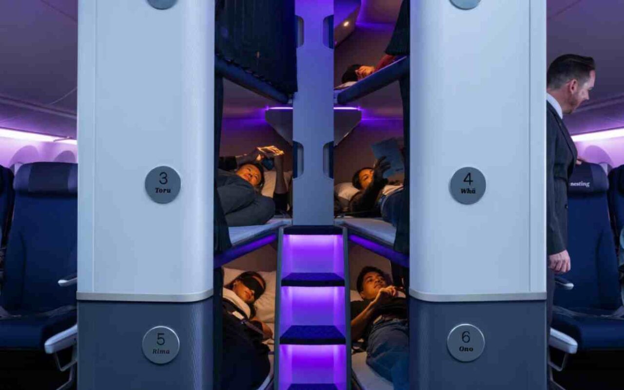 Skynest