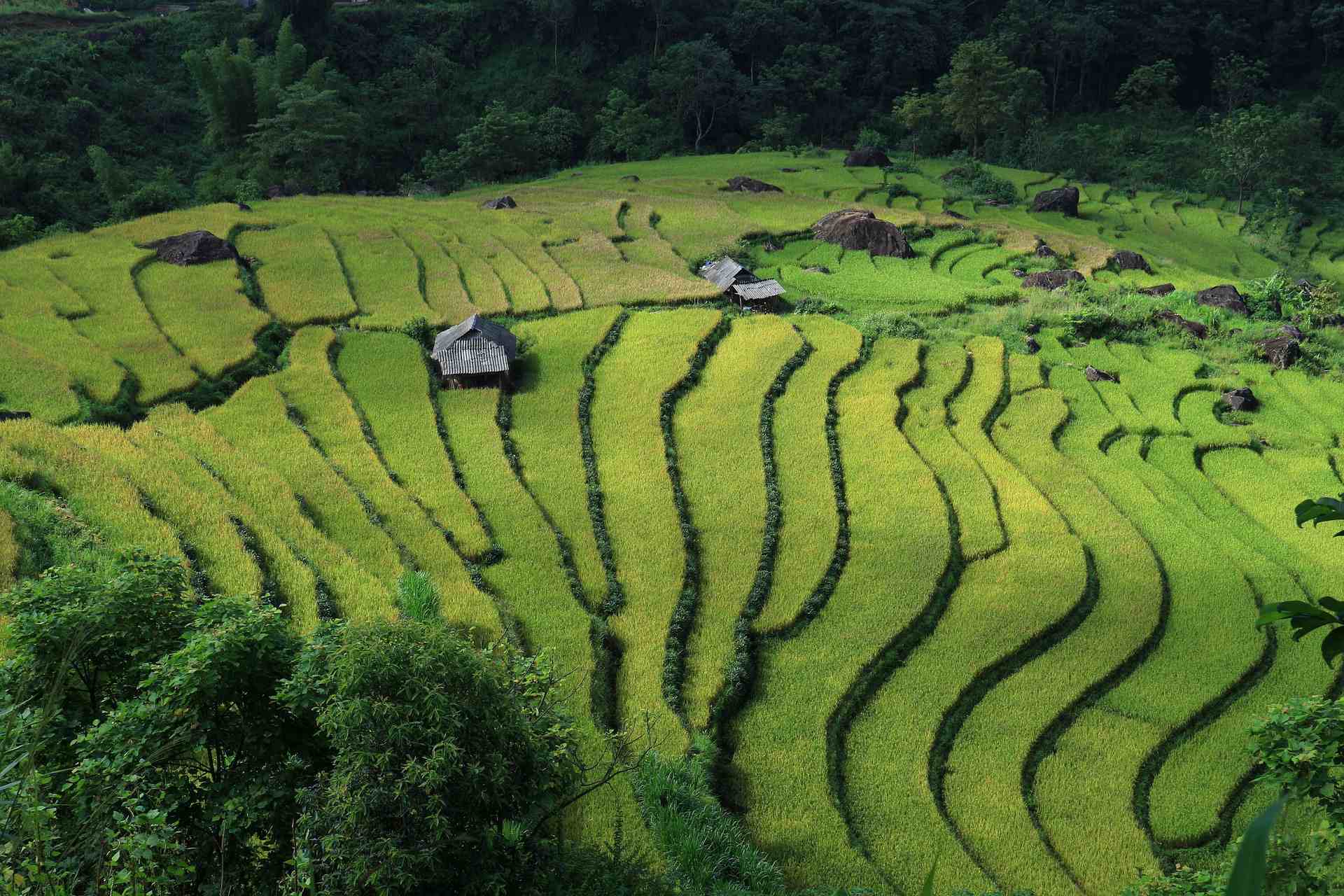 IHG Signs Major Vietnam Deal with Four Hotels Planned for Vinhomes Green Paradise Can Gio 2 Vietnam