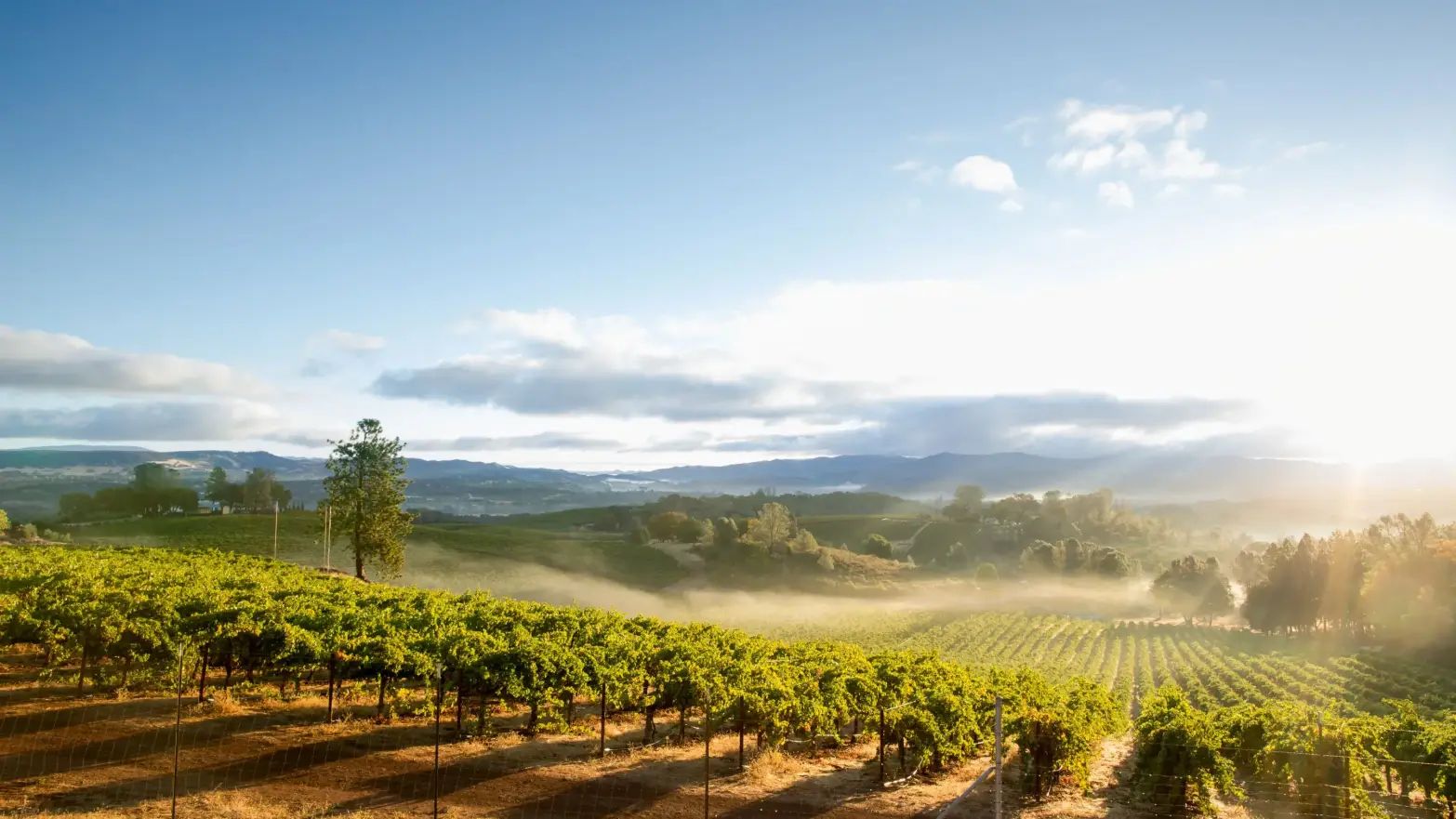 Alaska Airlines Adds New California Routes From Santa Rosa And Long Beach
