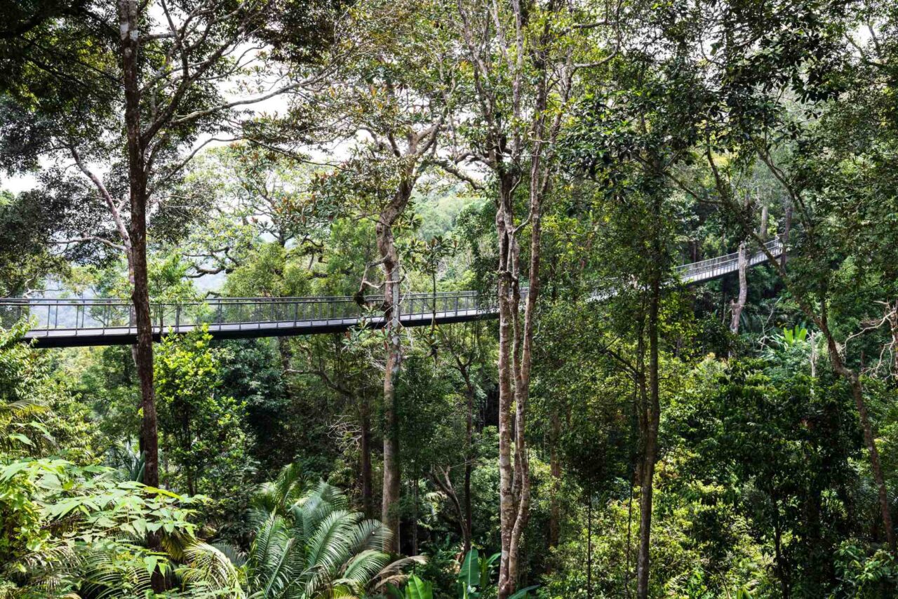 Gebrüder Weiss Delivers Doppelmayr Cable Car to Penang Hill, Malaysia 6 penang hill