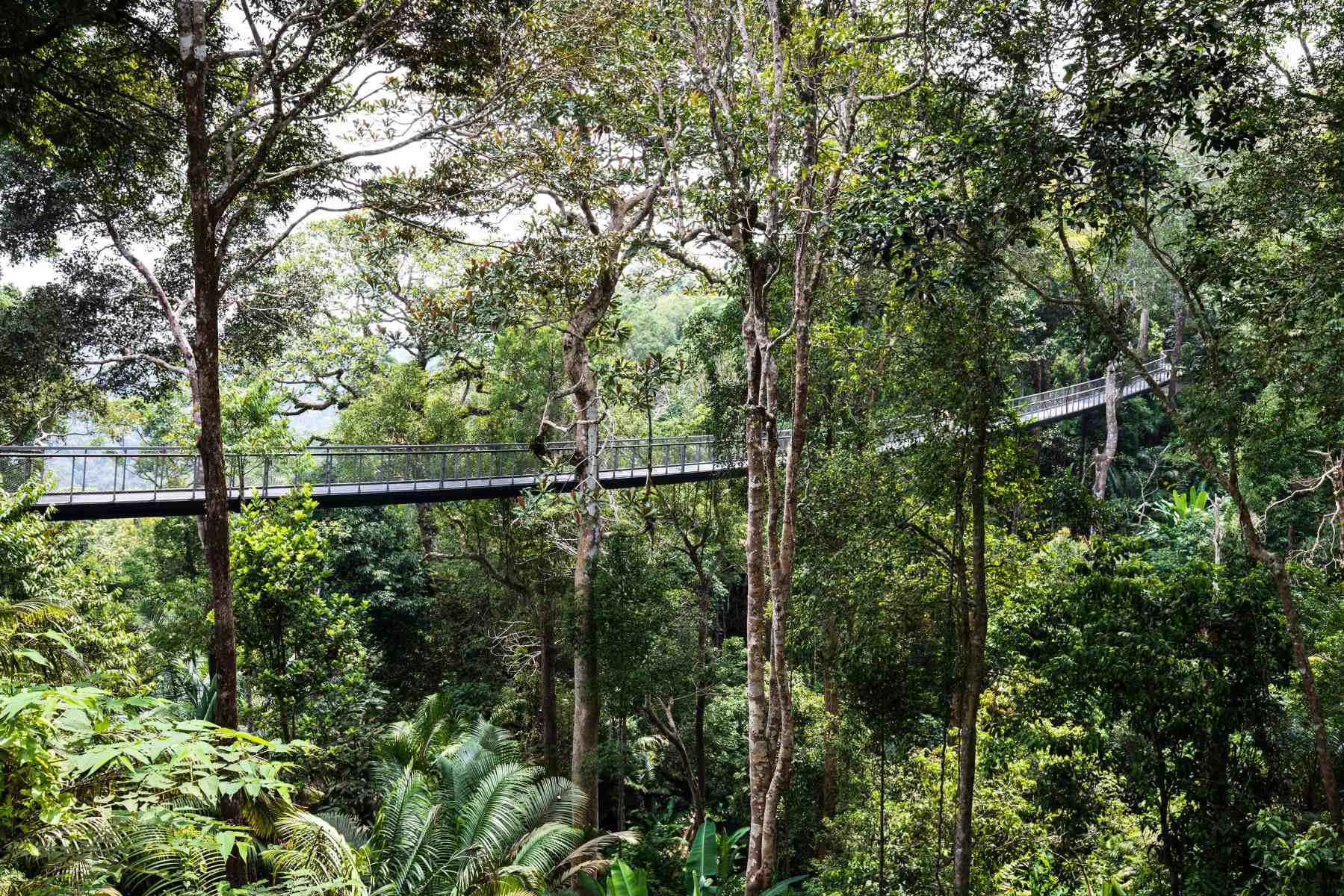Gebrüder Weiss Delivers Doppelmayr Cable Car to Penang Hill, Malaysia 2 penang hill