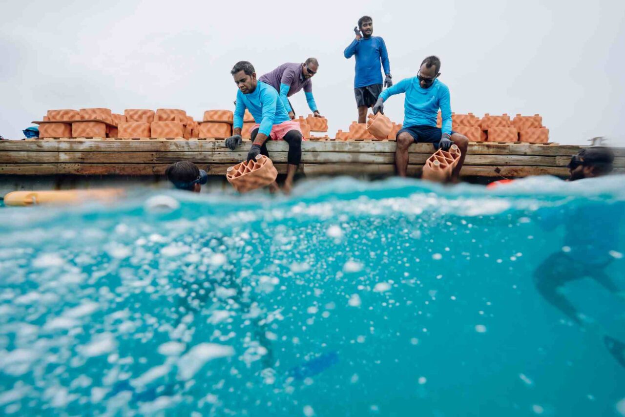 Anantara Dhigu Maldives Launches Innovative 3D-Printed Reef Restoration Project 4 Anantara