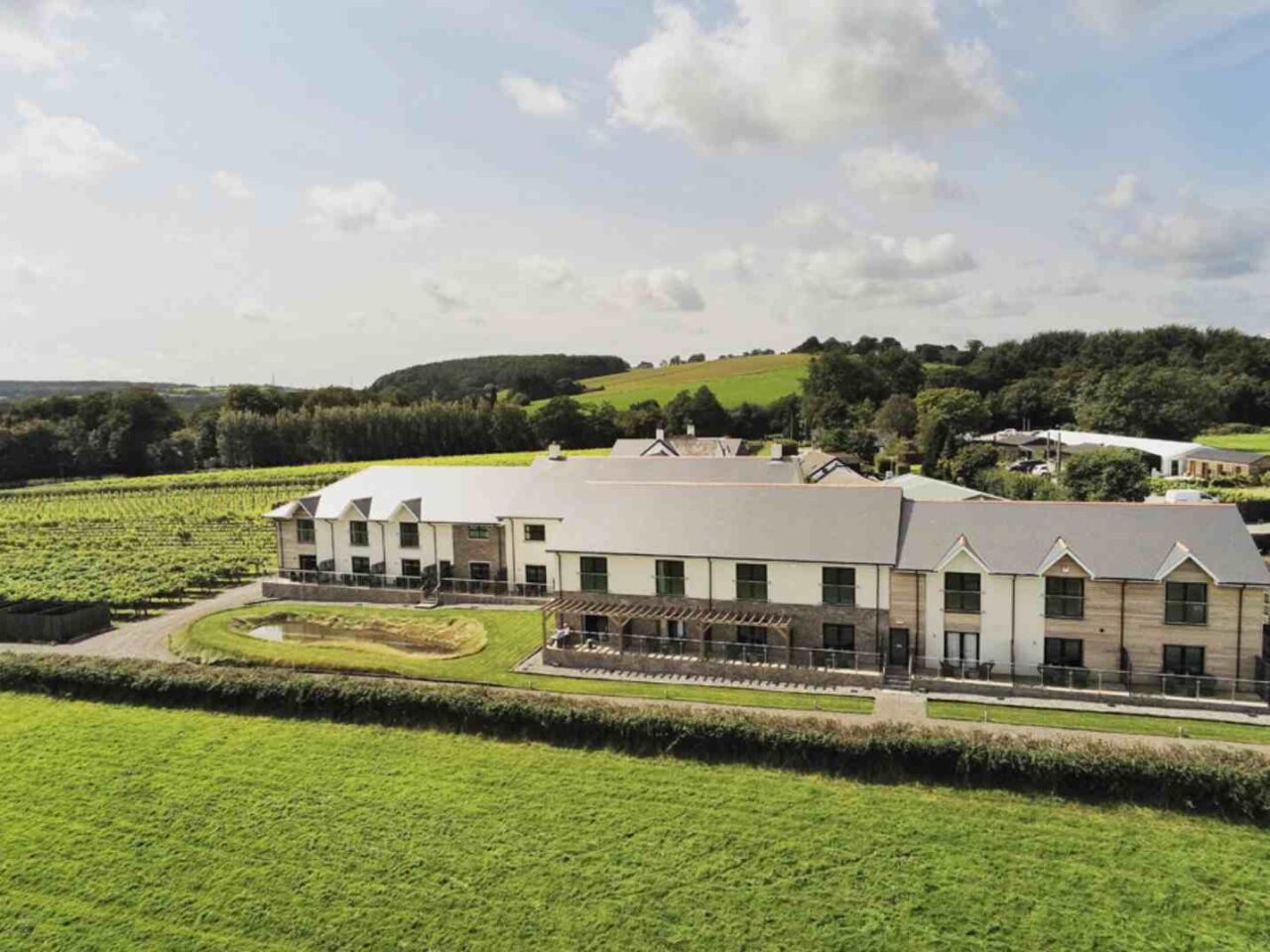 Llanerch Vineyard