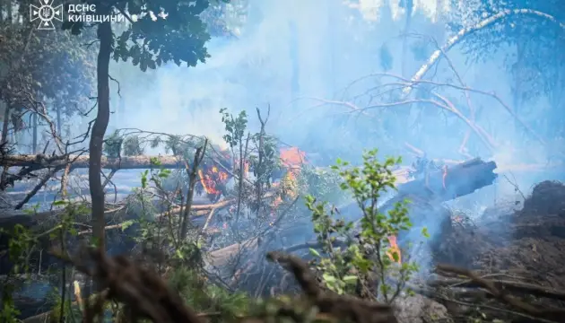 Firefighting Continues in Chernobyl Exclusion Zone as Final Hotspot Contained 2 Chernobyl