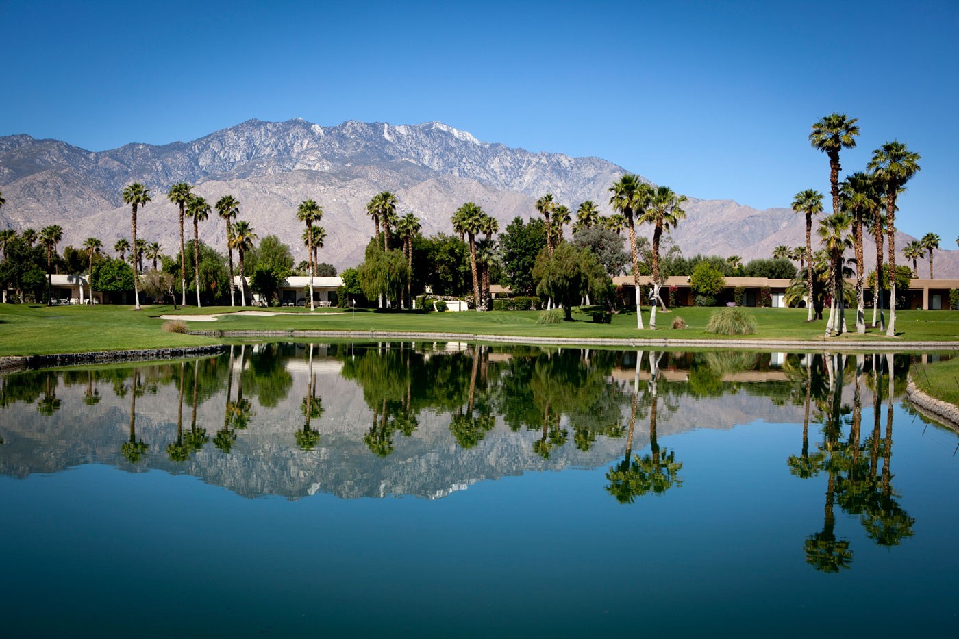 Palm Springs Backpage Classifieds