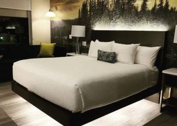 Cambria Hotels