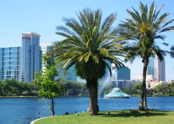 orlando